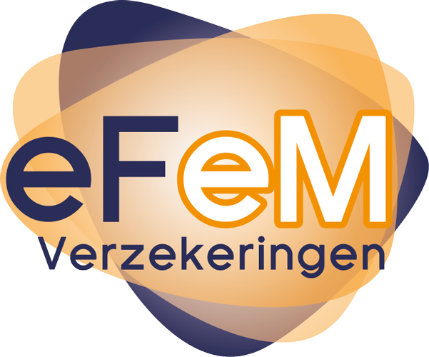Logo-eFeM Verzekeringen